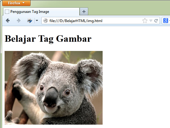 Cara Menambahkan Gambar di HTML