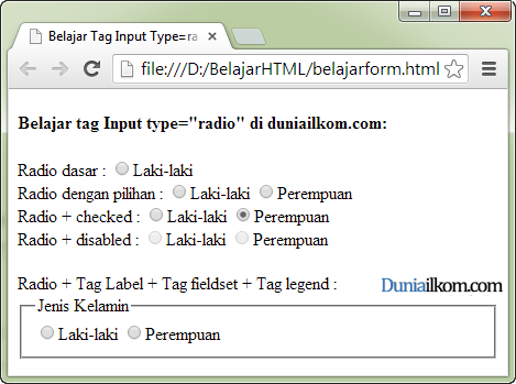 Fungsi dan Cara Penggunaan tag input type radio Form HTML 