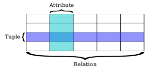 ReRelasi (tabel), Tuple (baris) dan Attribute (kolom) | wikipedia