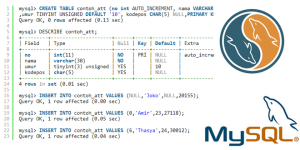 Tutorial Belajar MySQL Atribut Tipe Data