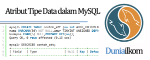 Tutorial Belajar MySQL - Atribut Tipe Data dalam MySQL