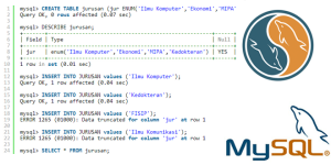 Tutorial Belajar MySQL Tipe Data ENUM dan SET