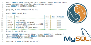 Tutorial Belajar MySQL Tipe Data Numerik