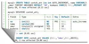 Attribut Tipe Data MySQL