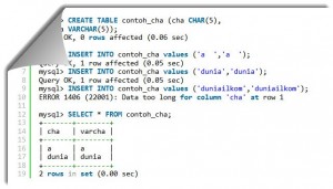 Tipe Data Huruf MySQL : CHAR, VARCHAR dan TEXT