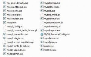 Folder bin MySQL : File-file aplikasi MySQL