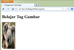 Cara Menambahkan Gambar di HTML Width