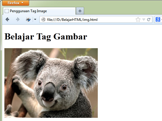 Belajar Html Dasar Cara Menambahkan Gambar Di Html Tag Image Duniailkom