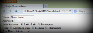 Belajar HTML Cara Membuat Form di HTML (tag form)