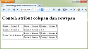 Contoh Penggunaan Atribut Colspan dan Rowspan Tag Tabel
