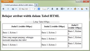 Contoh Tabel HTML Tabel Dengan Atribut Width Pada Kolom