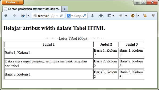 Contoh Tabel HTML Tabel Dengan Atribut Width
