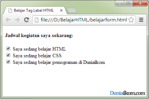 Tutorial Pembuatan Form HTML - Contoh Penggunaan Tag Label 2