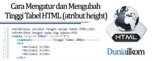 Tutorial Tabel HTML - Cara Mengatur dan Mengubah Tinggi Tabel HTML (atribut height)