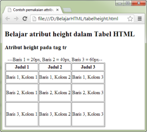 Tutorial Tabel HTML - Contoh Cara Merubah dan Mengatur Tinggi Baris Tabel (atribut height) HTML 2