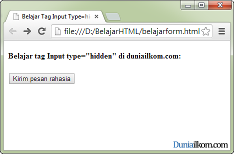 Tutorial Pembuatan Form HTML - Contoh Cara Penggunaan Tag Input Type Hidden