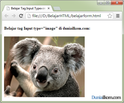 Tutorial Pembuatan Form HTML - Contoh Cara Penggunaan Tag Input Type Image
