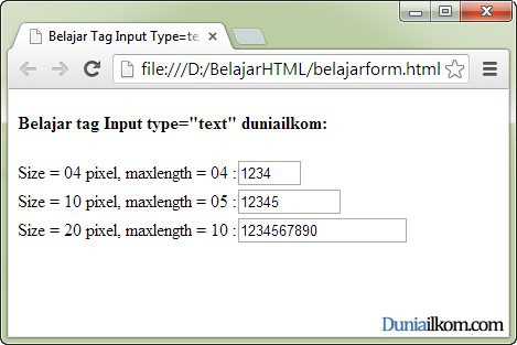 Tutorial Pembuatan Form HTML - Contoh Cara Penggunaan Tag Input Type Text Atribut Maxlength