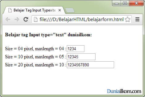 Form input type text