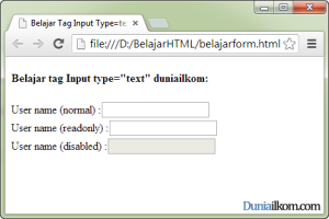 Tutorial Pembuatan Form HTML - Contoh Cara Penggunaan Tag Input Type Text Atribut Readonly dan Disabled