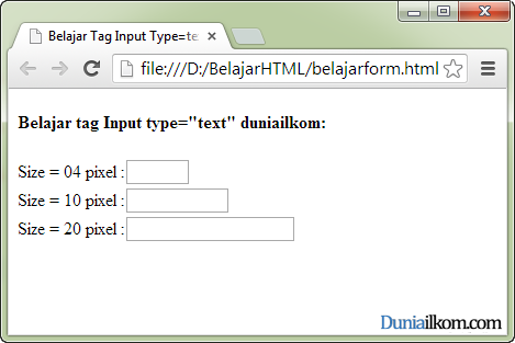 Tutorial Pembuatan Form HTML - Contoh Cara Penggunaan Tag Input Type Text Atribut Size