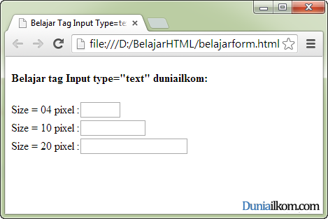 Form input type text