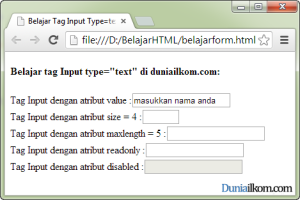 Tutorial Pembuatan Form HTML - Contoh Cara Penggunaan Tag Input Type Text Finish