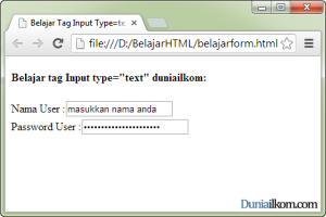 Tutorial Pembuatan Form HTML - Contoh Cara Penggunaan Tag Input Type Text dan Type Password
