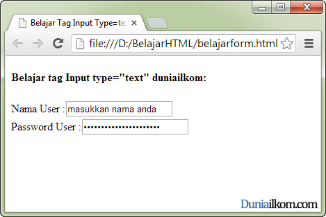 Fungsi Dan Cara Penggunaan Tag Input Type Text Dan Type