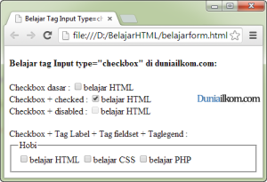 Tutorial Pembuatan Form HTML - Contoh Cara Penggunaan Tag Input type checkbox