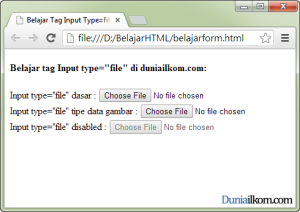 Tutorial Pembuatan Form HTML - Contoh Cara Penggunaan Tag Input type file