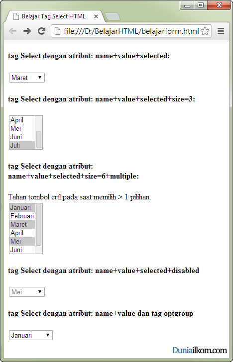 Tutorial Pembuatan Form HTML - Contoh Cara Penggunaan Tag Select