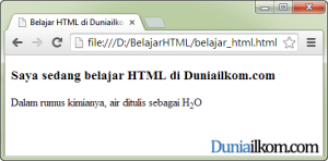 Contoh Cara Membuat Huruf SubScript dalam HTML - tag sub