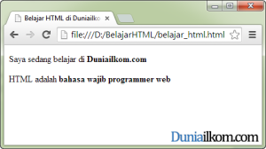 Contoh Cara Membuat Huruf Tebal dalam HTML - tag b dan tag strong