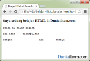 Contoh Cara Membuat Text Tanpa Format dalam HTML - tag pre