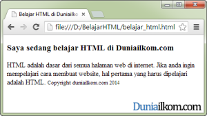 Contoh Penulisan tag small dalam HTML