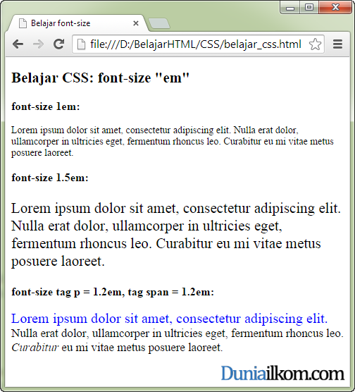 Tutorial Belajar CSS - Contoh Cara Mengubah Ukuran Font 