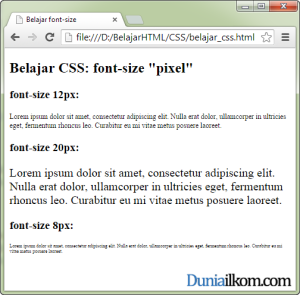Tutorial Belajar CSS - Contoh Cara Mengubah Ukuran Font dengan pixel