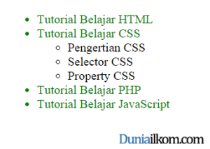 Tutorial Belajar CSS - Contoh Child Selector CSS