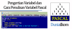 Tutorial Belajar Pascal - Pengertian Variabel dan Cara Penulisan Variabel Pascal