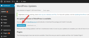 Link untuk update wordpress