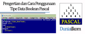 Tutorial Belajar Pascal - Pengertian dan Cara Penggunaan Tipe Data Boolean Pascal