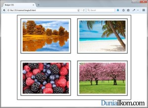 Hasil akhir tampilan final gallery dengan CSS