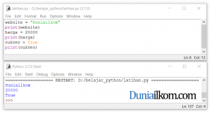 Cara menampilkan isi variabel di dalam bahasa Python