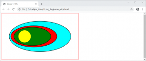 Contoh Latihan HTML Uncover - SVG