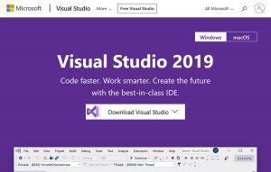 tampilan web microsoft visual studio 2019