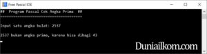 Latihan Kode Program Pascal - Cek Bilangan Prima dengan alasan