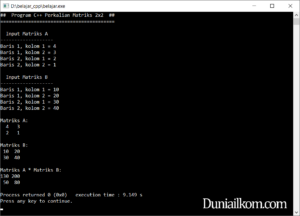 Latihan Kode Program CPP - Perkalian Matriks 2×2 (dinamis)
